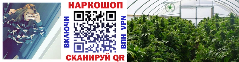 Наркошоп купить Cocaine  МЕФ  Гашиш  Бобров