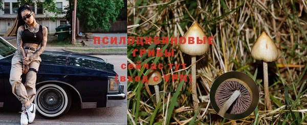 прущие крисы Зерноград