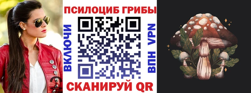 Купить  Бобров  Псилоцибиновые грибы Cubensis 